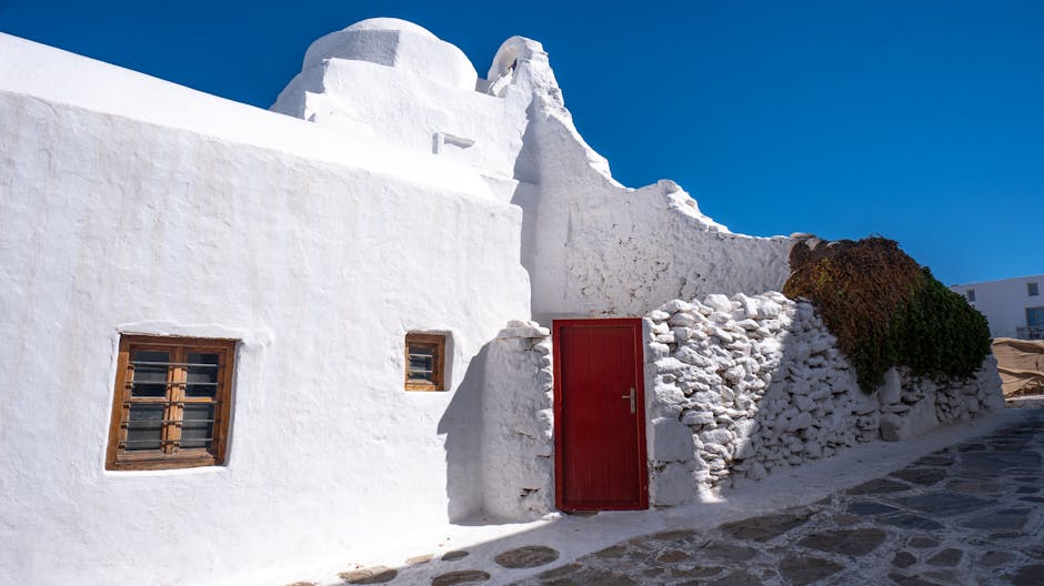 그릭요거트 종균으로 맛있는 홈메이드 요거트 만들기 알아보자