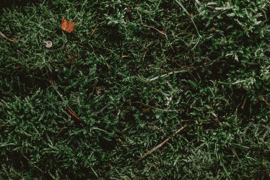 그린쉘을 활용한 다양한 요리 레시피와 즐기는 방법 알아보기