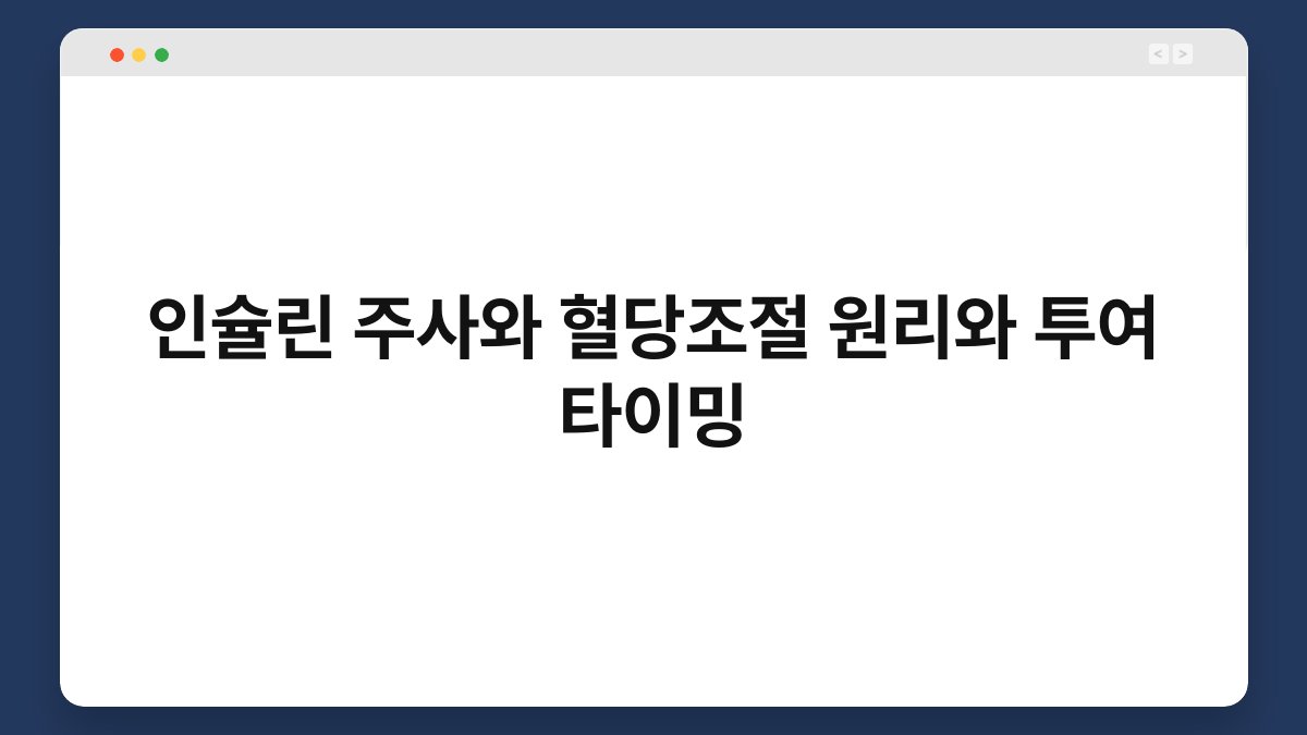 인슐린 주사와 혈당조절 원리와 투여 타이밍