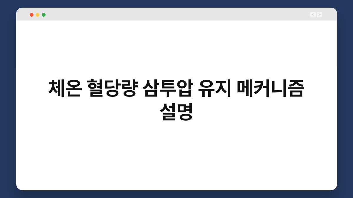 체온 혈당량 삼투압 유지 메커니즘 설명