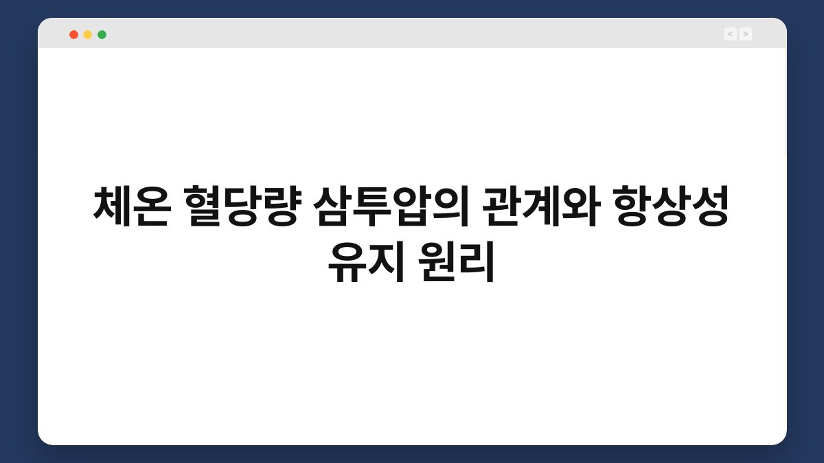 체온 혈당량 삼투압의 관계와 항상성 유지 원리