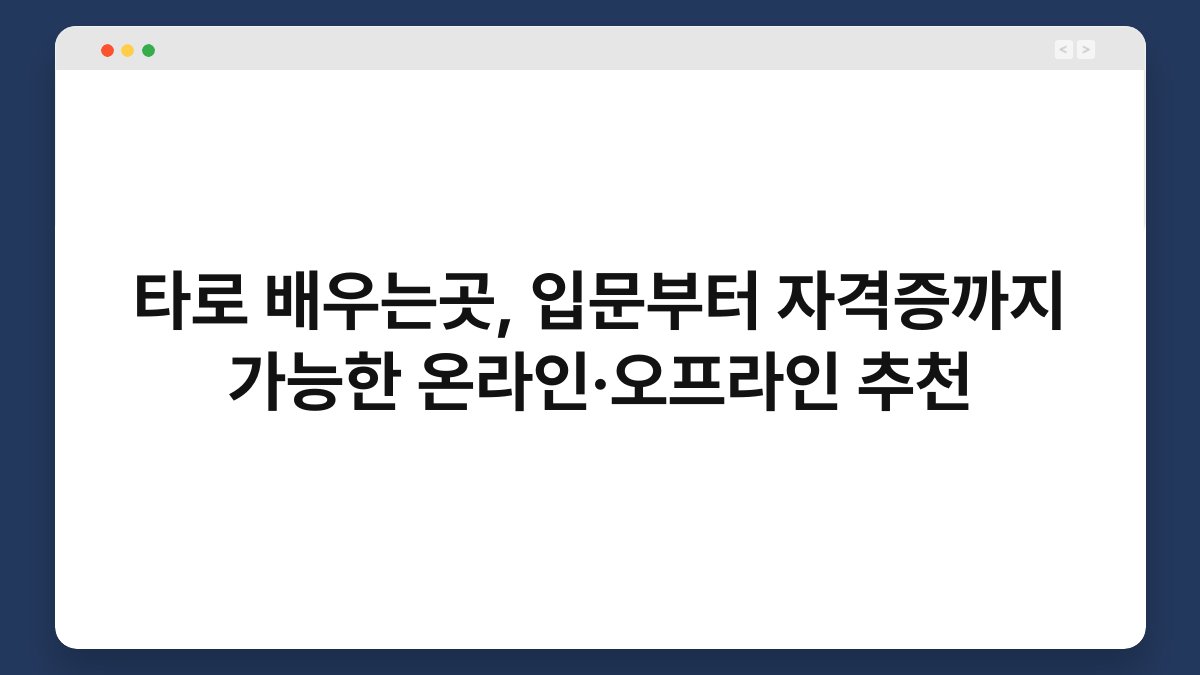 타로 배우는곳, 입문부터 자격증까지 가능한 온라인·오프라인 추천