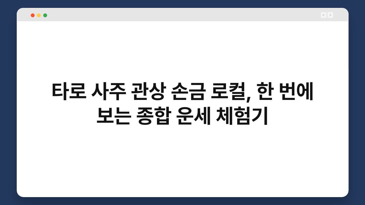 타로 사주 관상 손금 로컬, 한 번에 보는 종합 운세 체험기