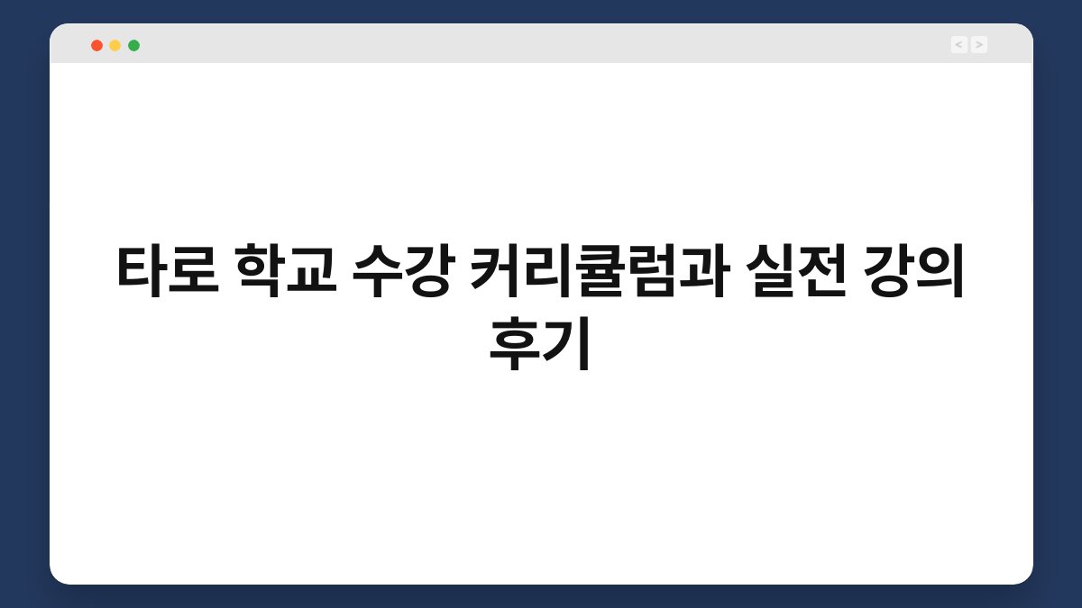타로 학교 수강 커리큘럼과 실전 강의 후기