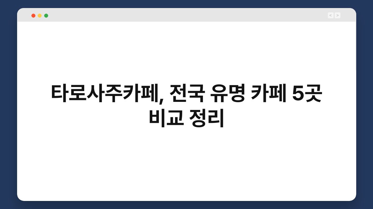 타로사주카페, 전국 유명 카페 5곳 비교 정리