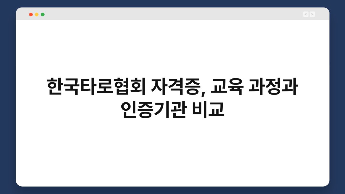 한국타로협회 자격증, 교육 과정과 인증기관 비교