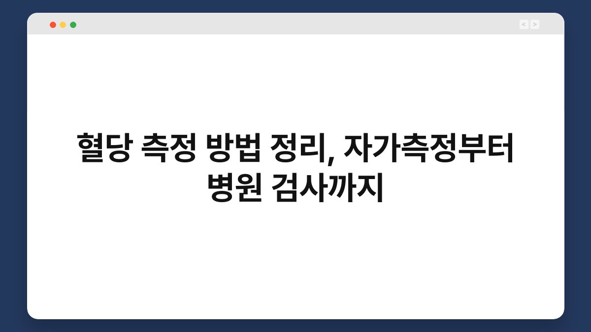 혈당 측정 방법 정리, 자가측정부터 병원 검사까지