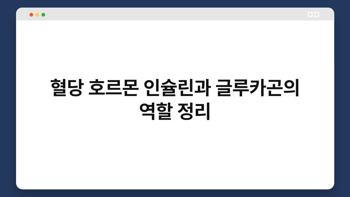 혈당 호르몬 인슐린과 글루카곤의 역할 정리