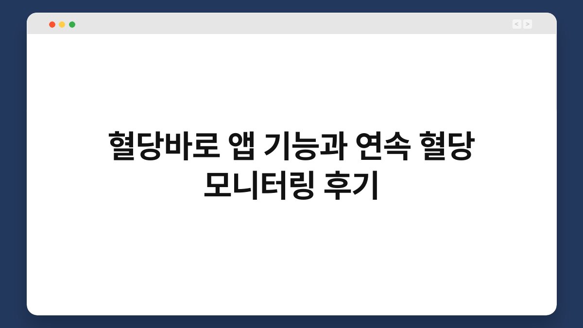 혈당바로 앱 기능과 연속 혈당 모니터링 후기